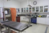 Kirrawee Veterinary Hospital image 3